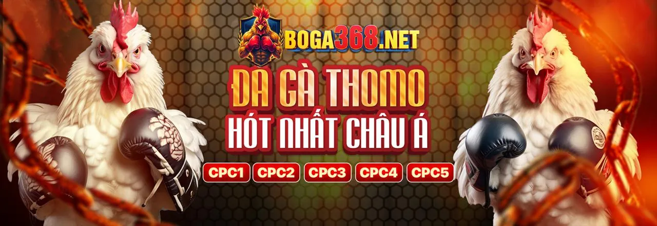 Đá Gà Trực Tuyến 90ok Android